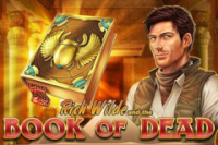 Book of Dead слот-игра